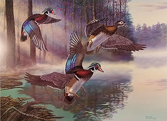 "Wood Duck Surprise" - Wood Ducks by artist Randy McGovern